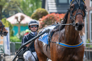 Paard in actie op de kortebaandraverij te Wognum