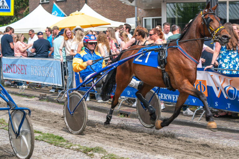 Langsracende paarden op de Kortebaandraverij Wognum